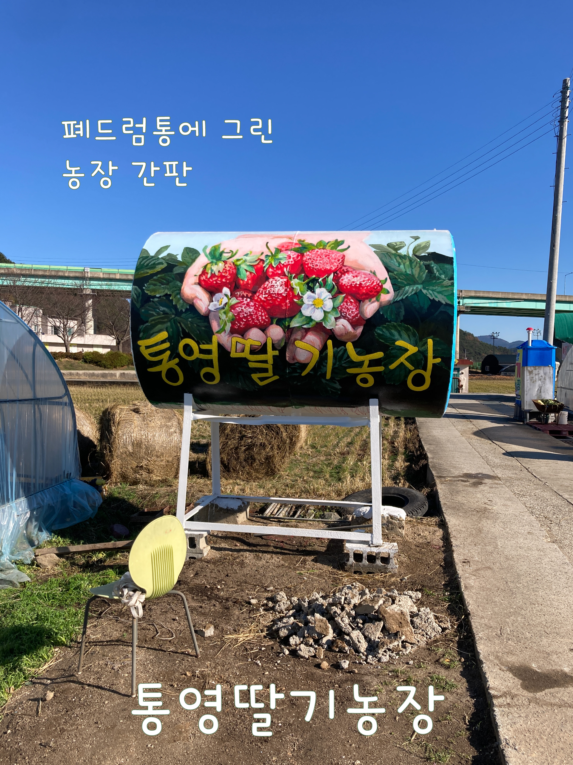 통영딸기농장