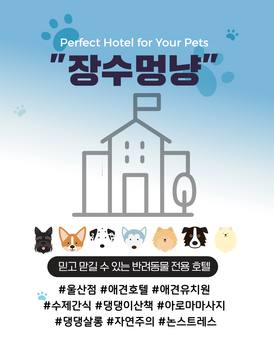 장수멍냥 대표 이미지