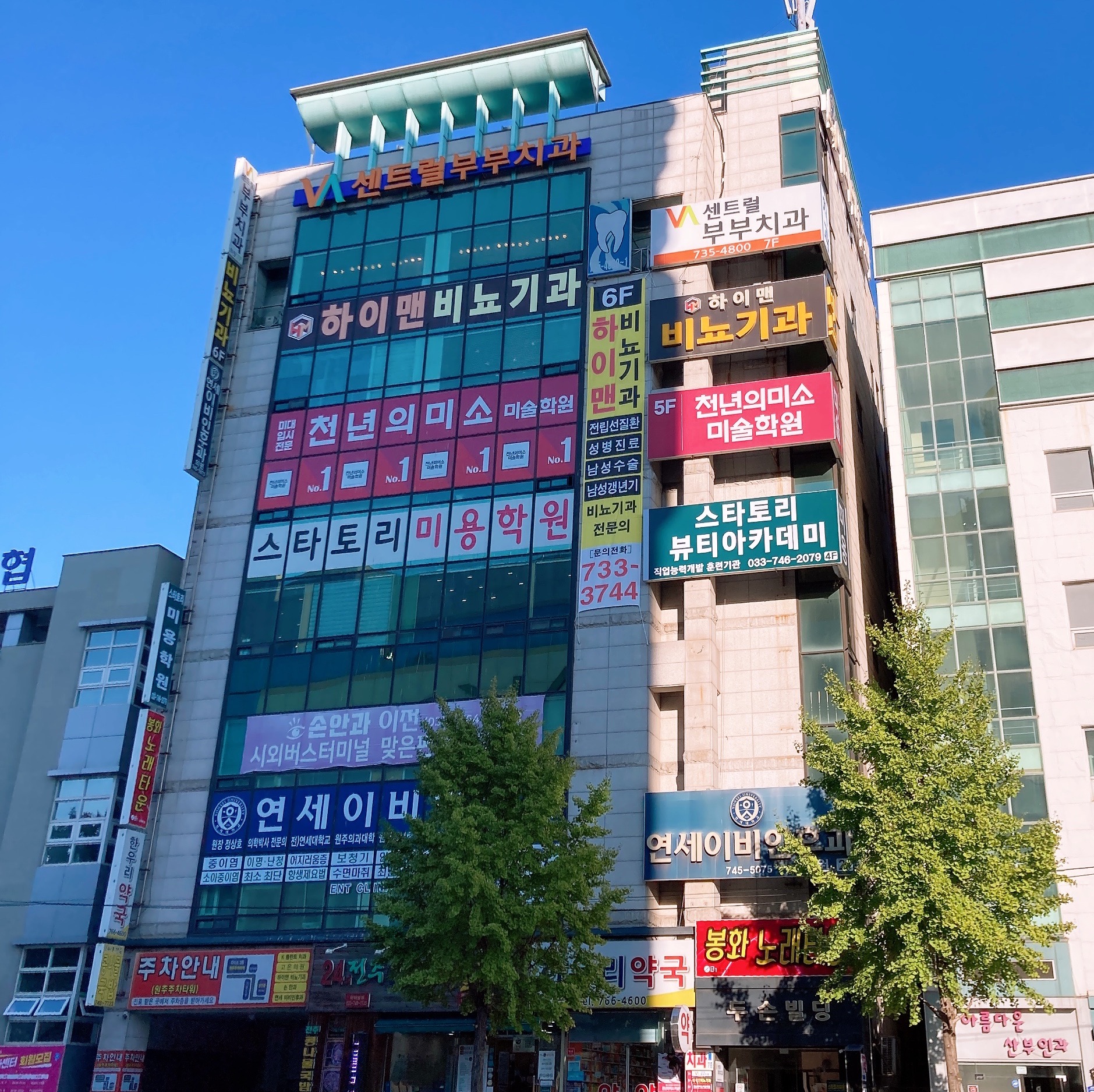 연세이비인후과의원 대표 이미지