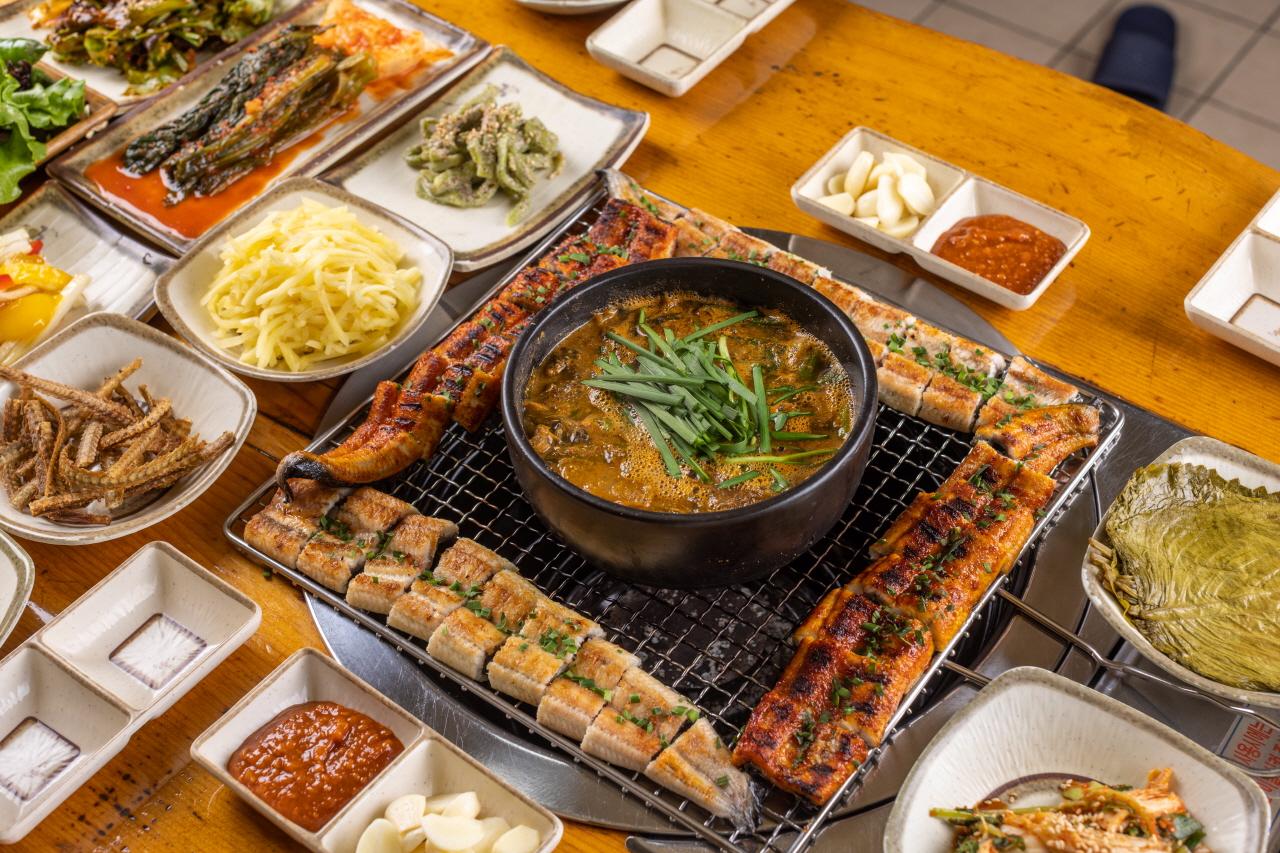 풍천장어