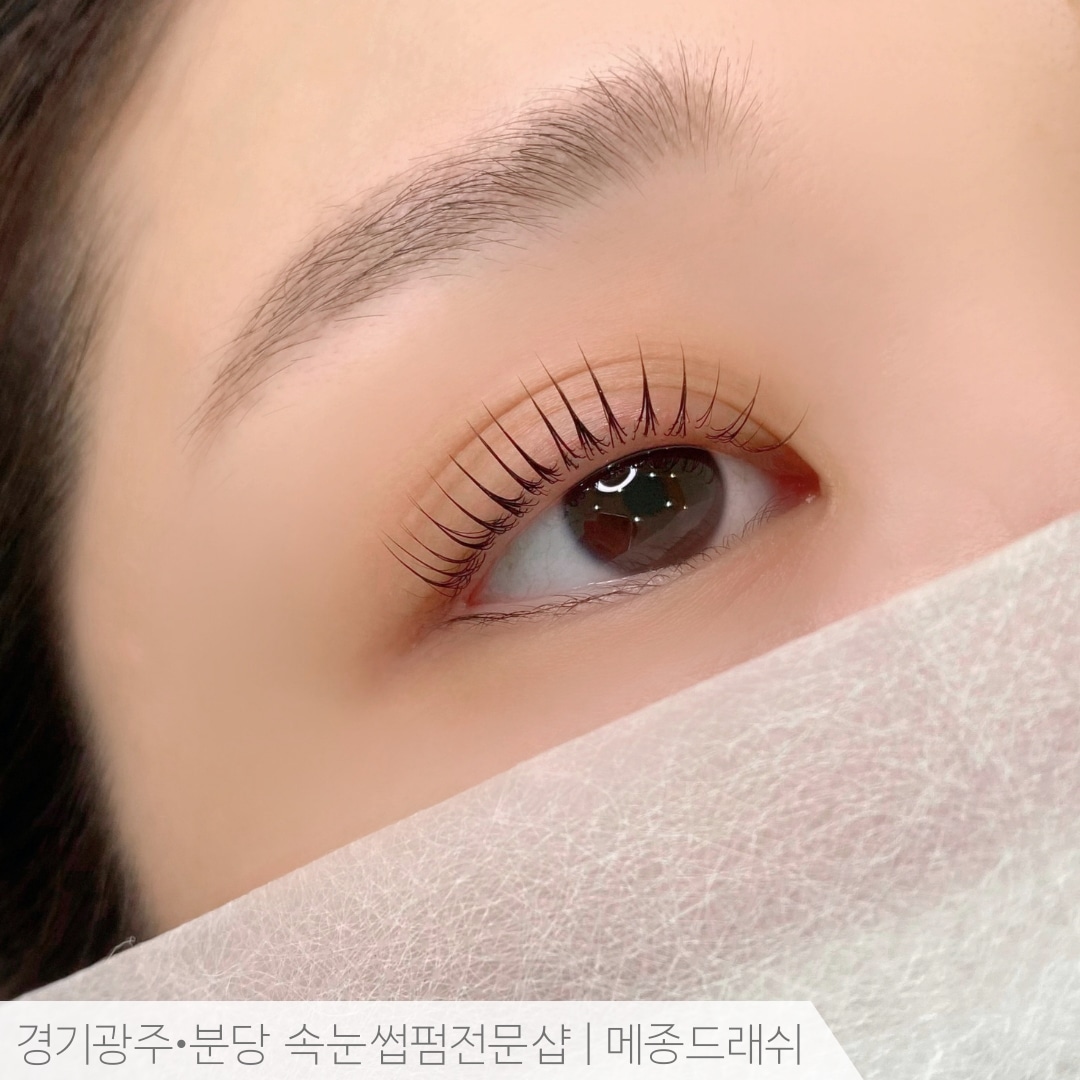 메종드래쉬