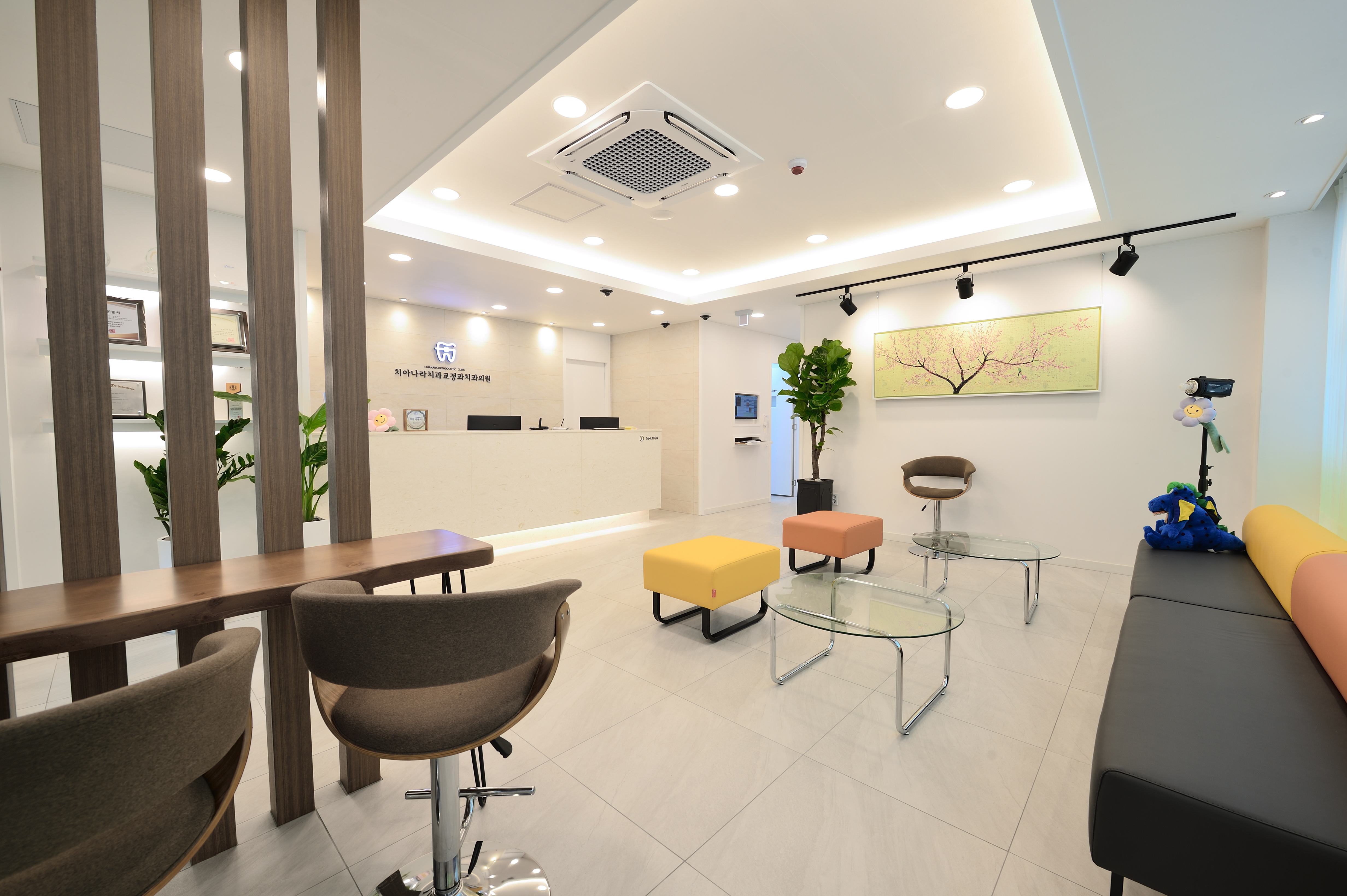 치아나라 치과교정과 치과의원 대표 이미지