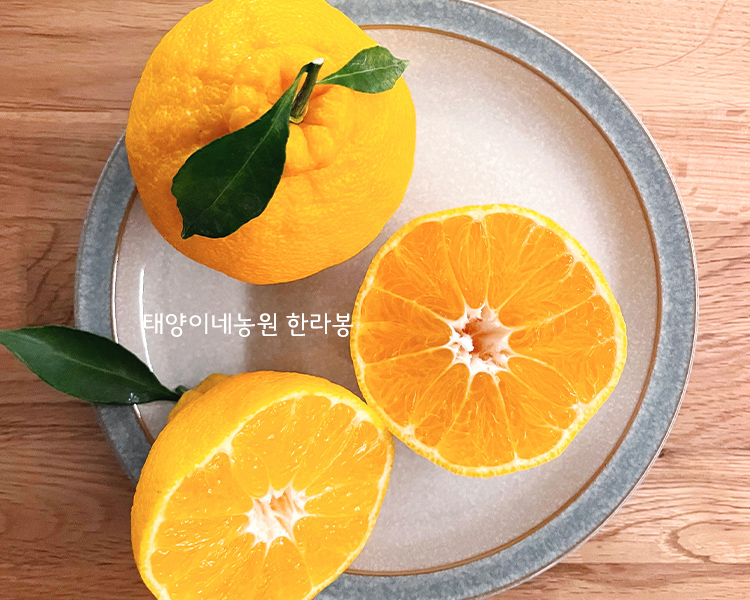 태양이네농원