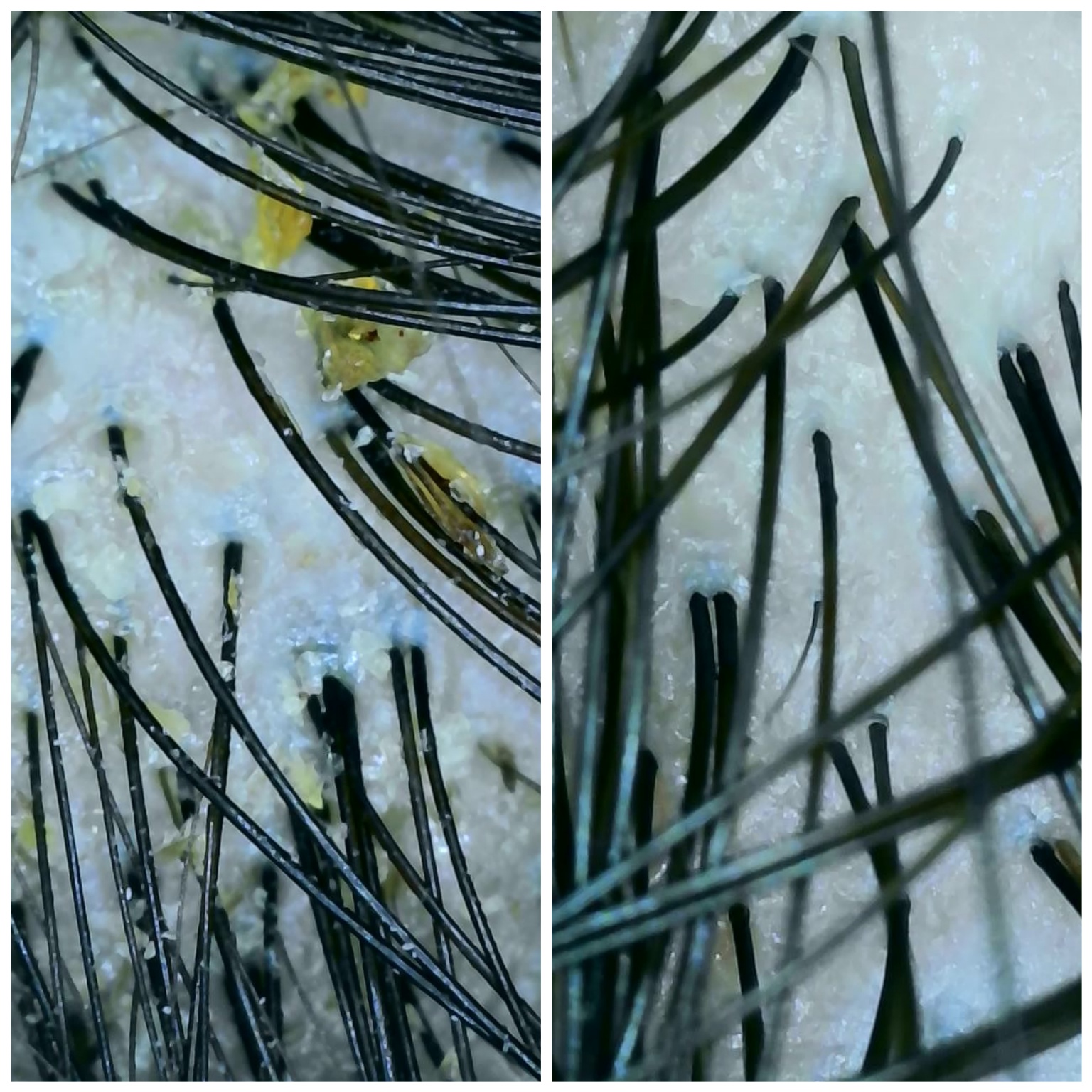 숲칼프 쌍문역점 대표 이미지