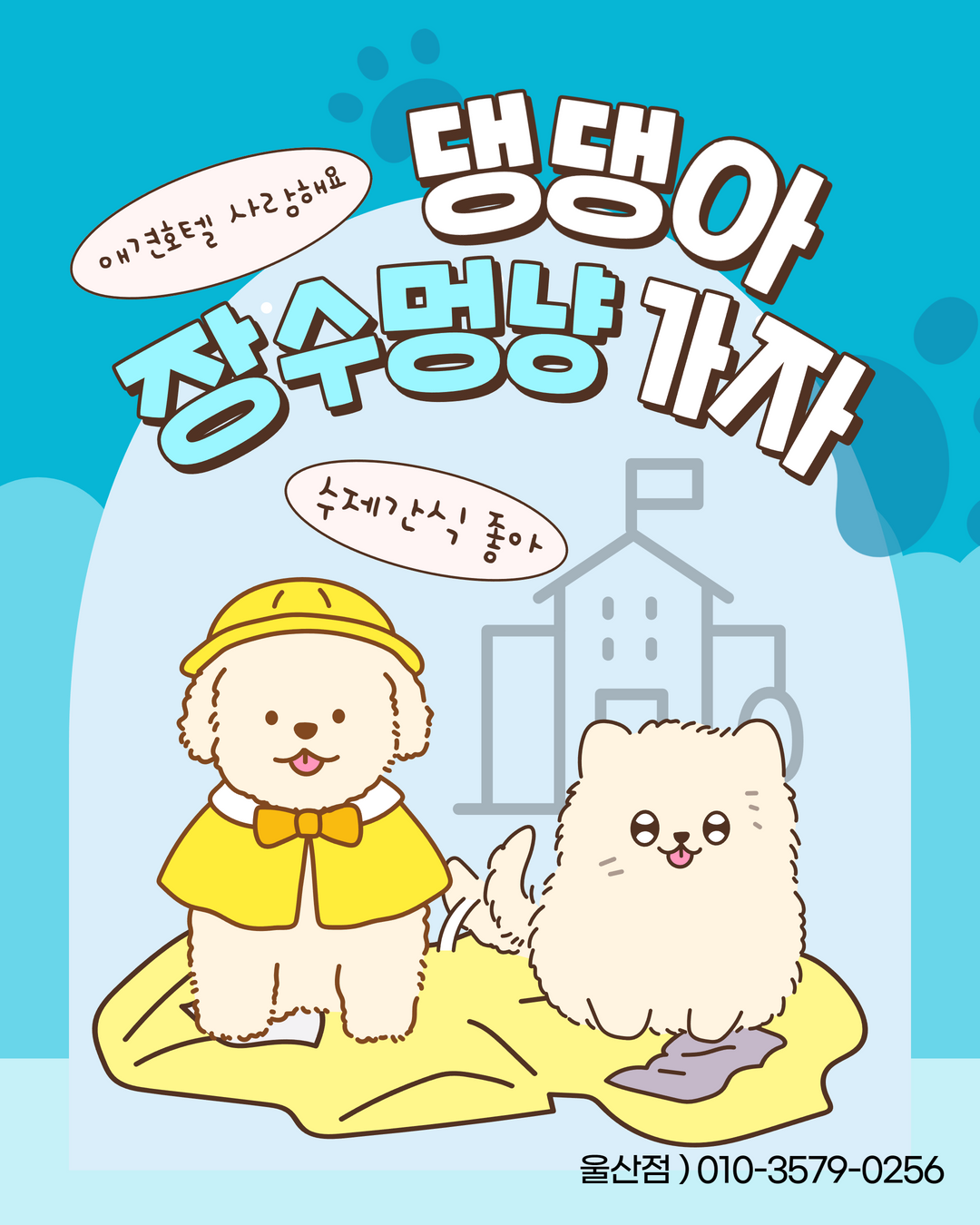 장수멍냥