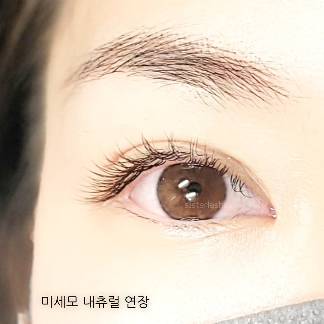 언니야래쉬