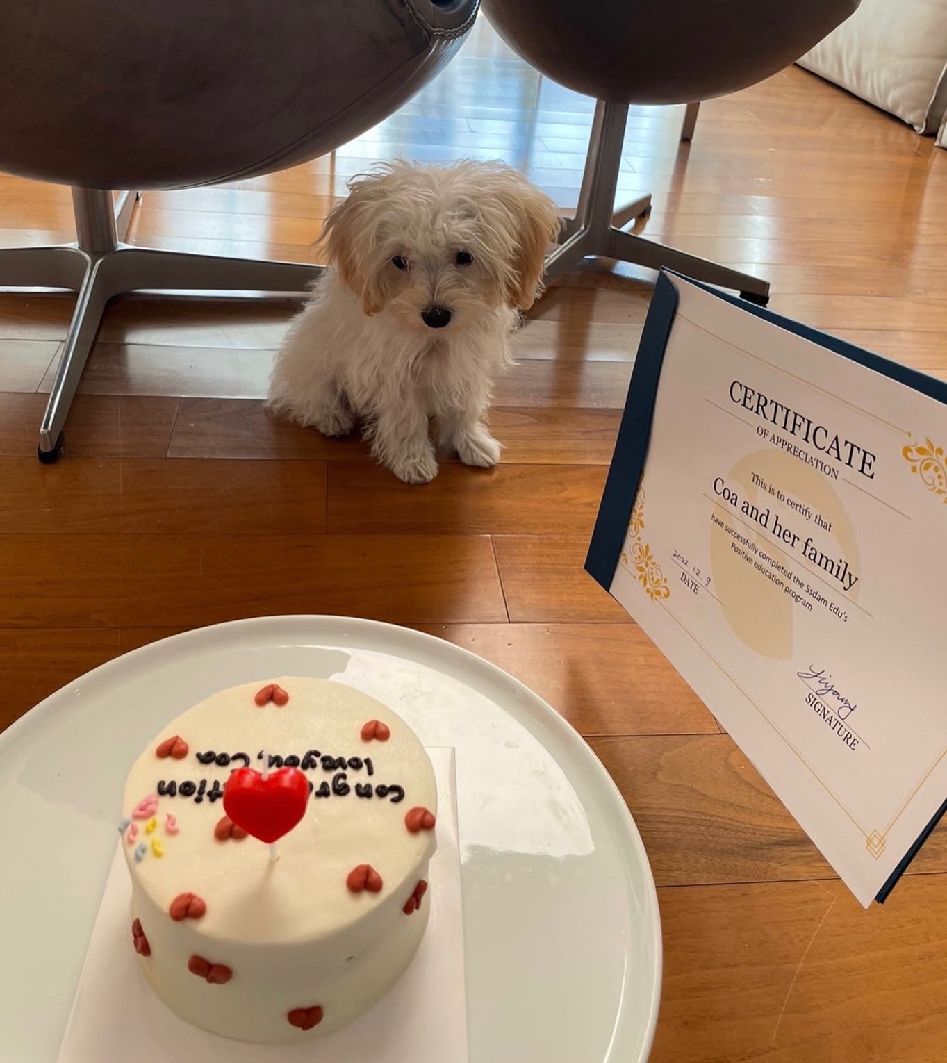 쓰담 에듀 대표 이미지