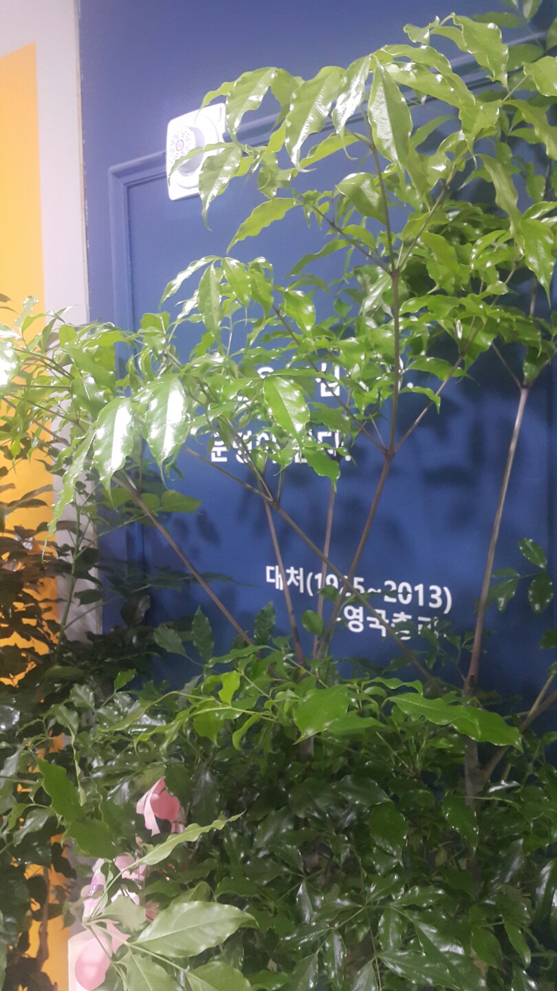 스펙수학교실 대표 이미지