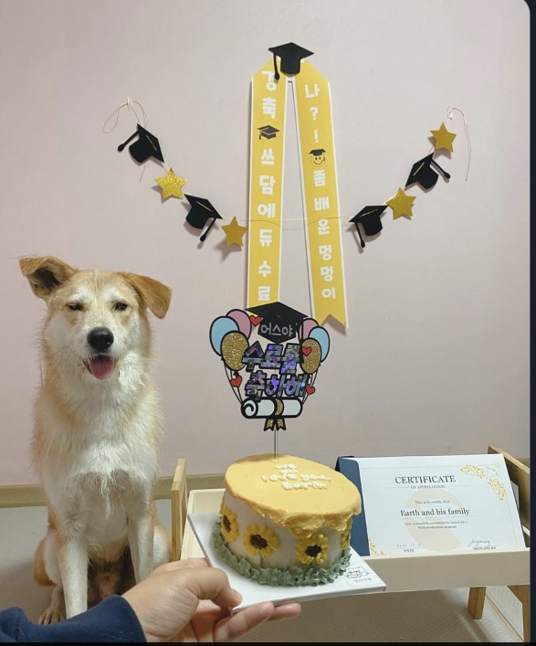 쓰담 에듀 대표 이미지