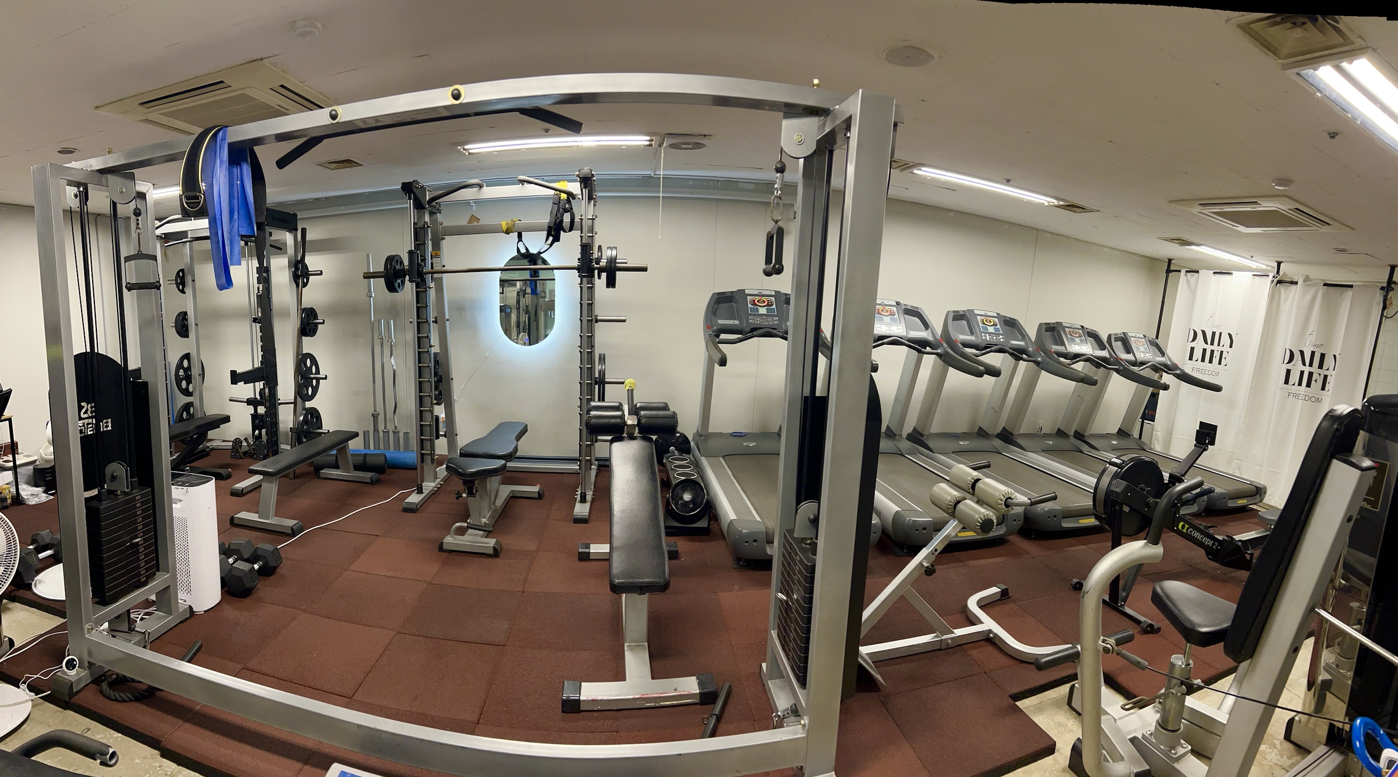 피티인 대표 이미지