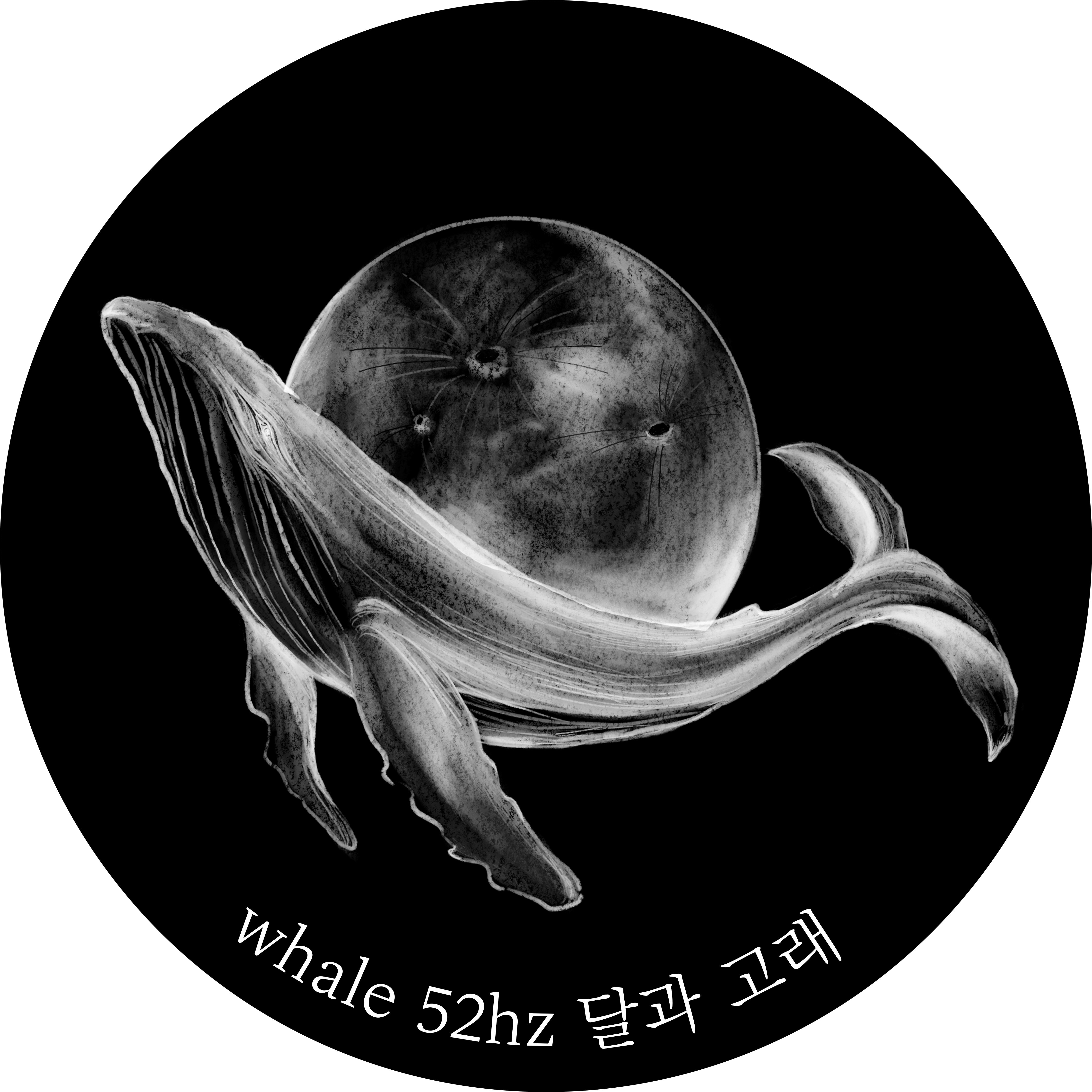 달과 고래 whale 52hz