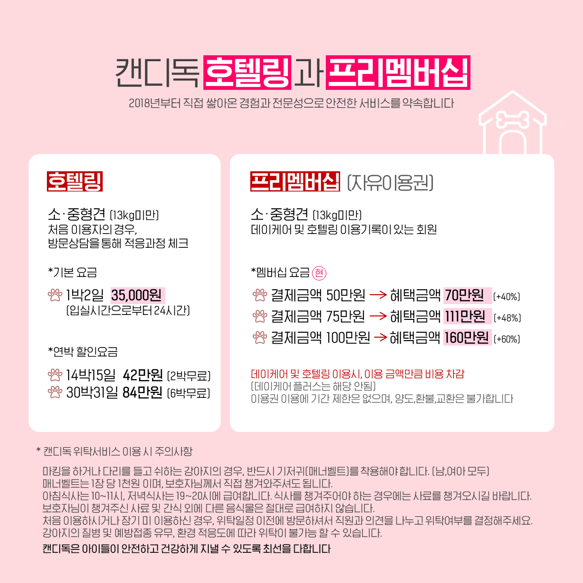 캔디독 대표 이미지