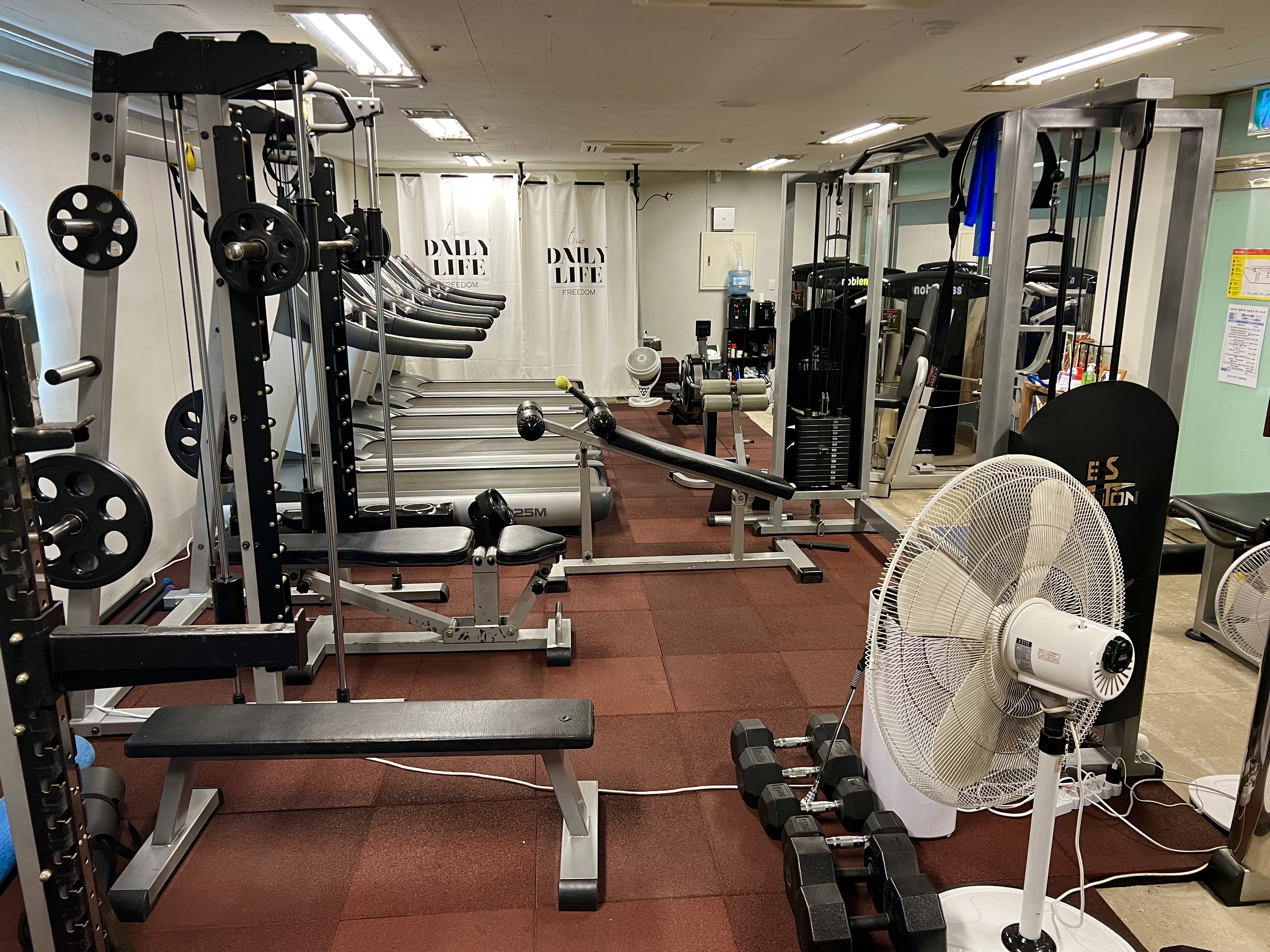 피티인 대표 이미지