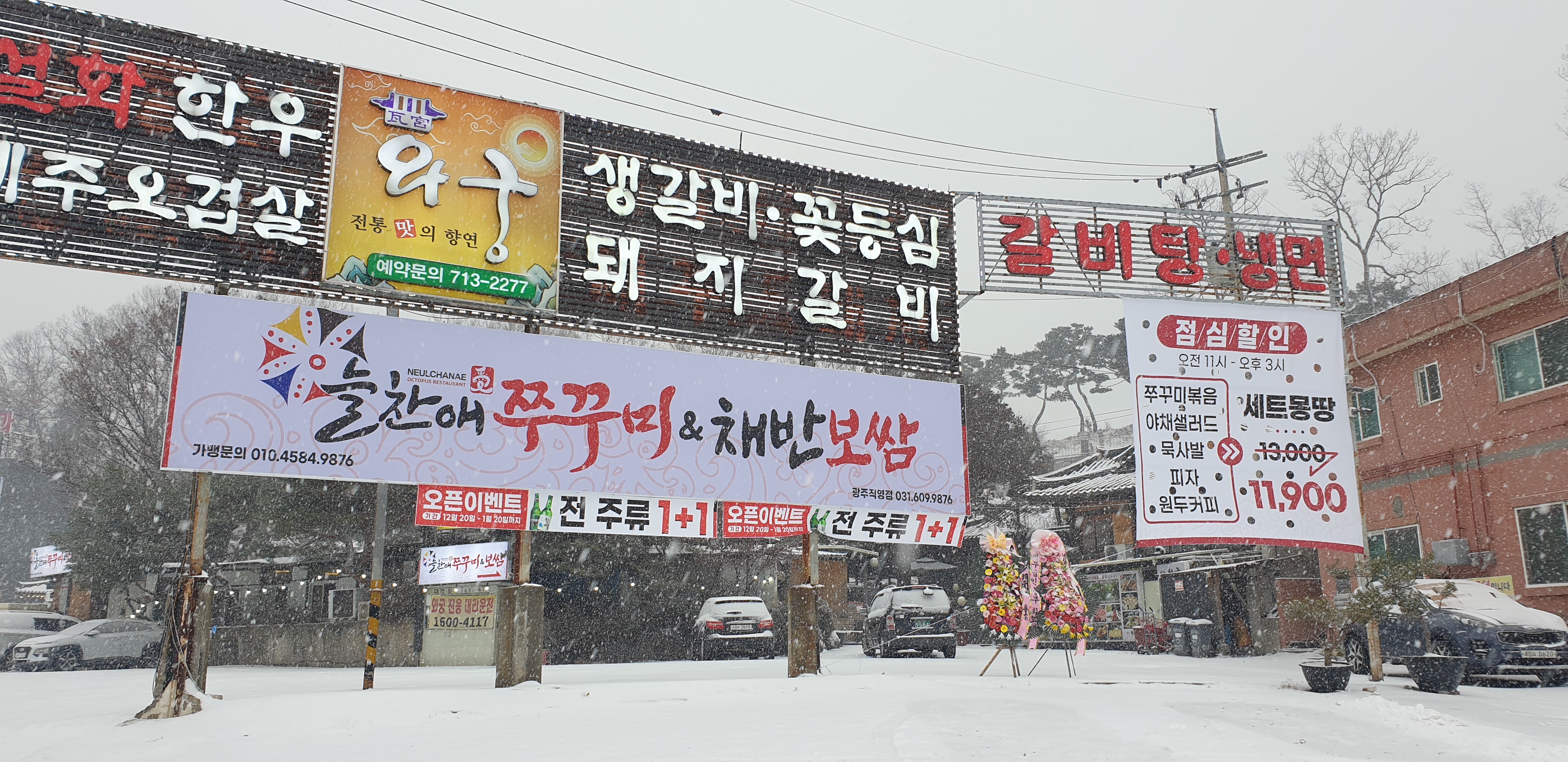 늘찬애 쭈꾸미&채반보쌈 본점 경기 애견맛집