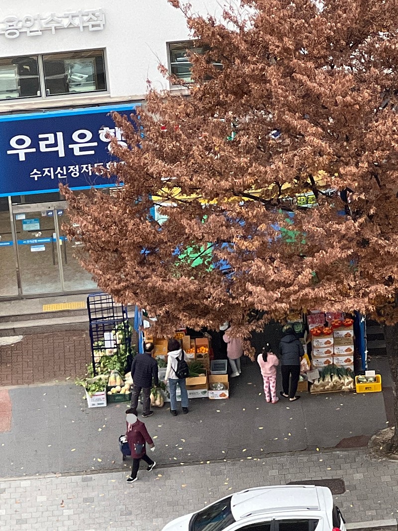 우리동네야채과일
