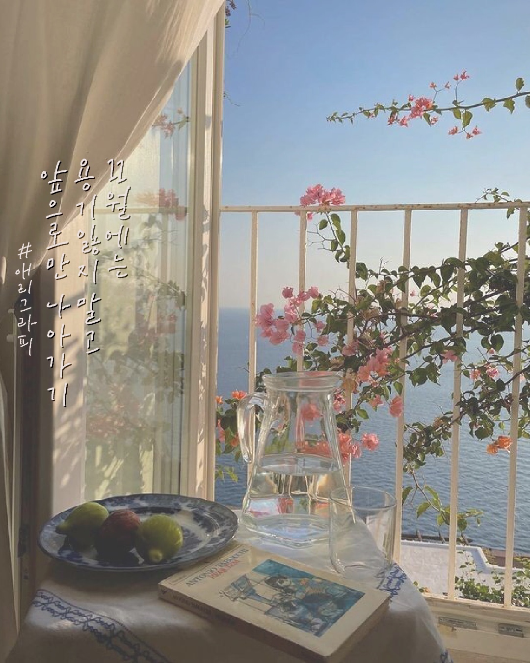 애리그라피