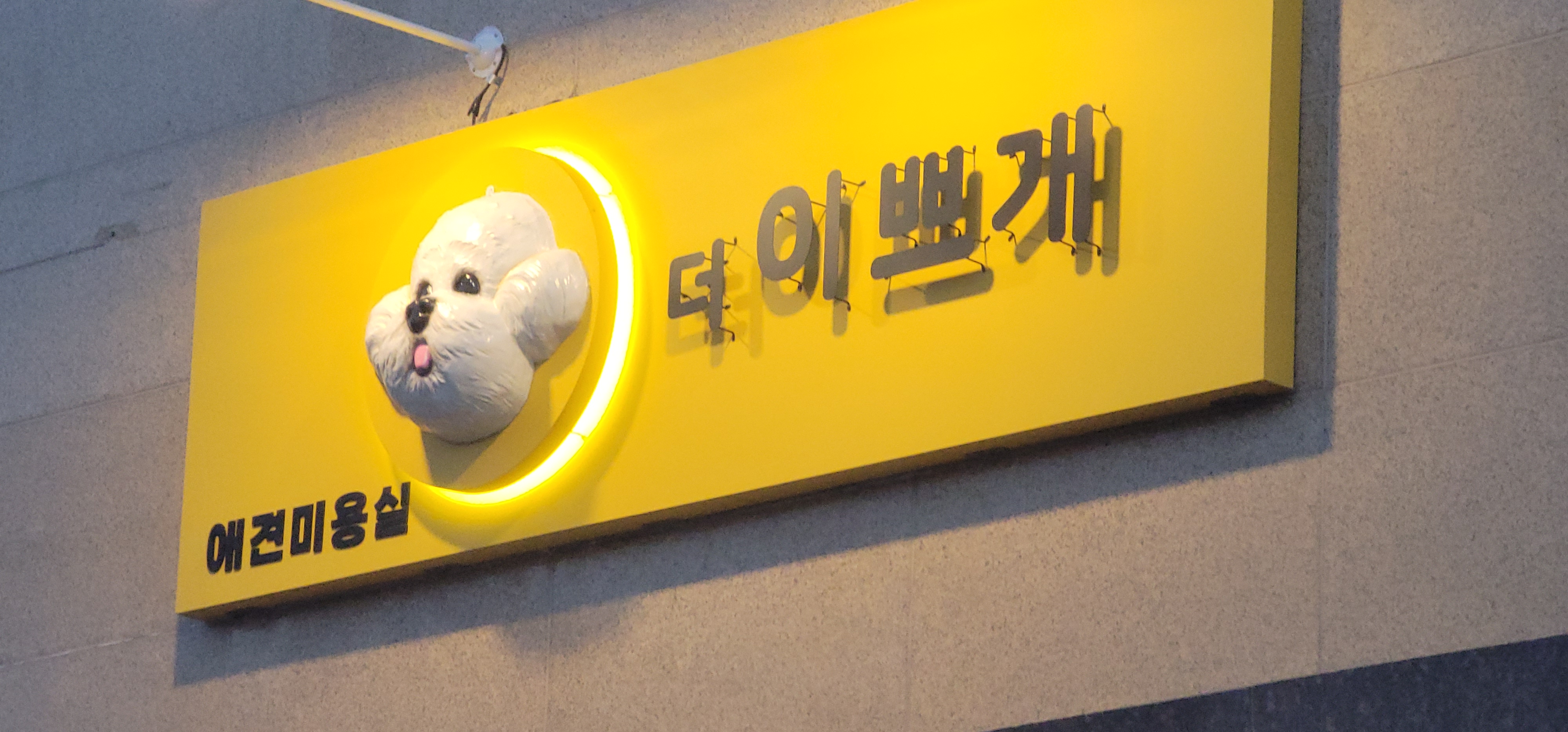 속초애견 더 이쁘개 대표 이미지
