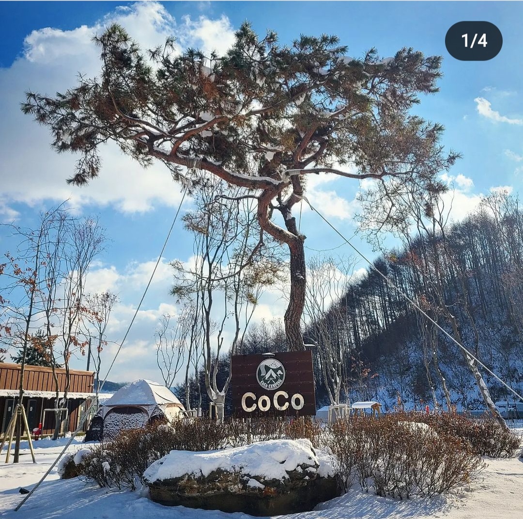 코코캠핑