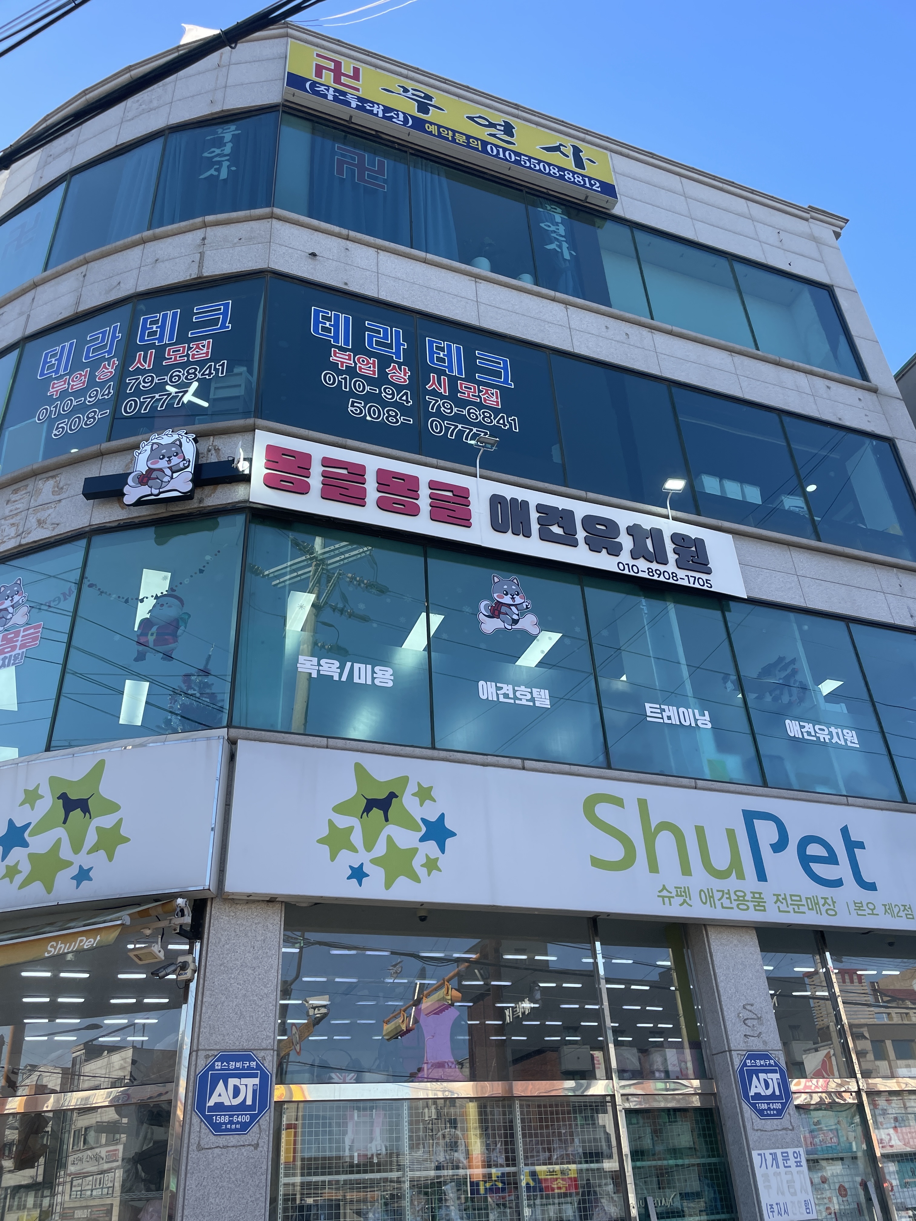 몽글몽글 애견유치원