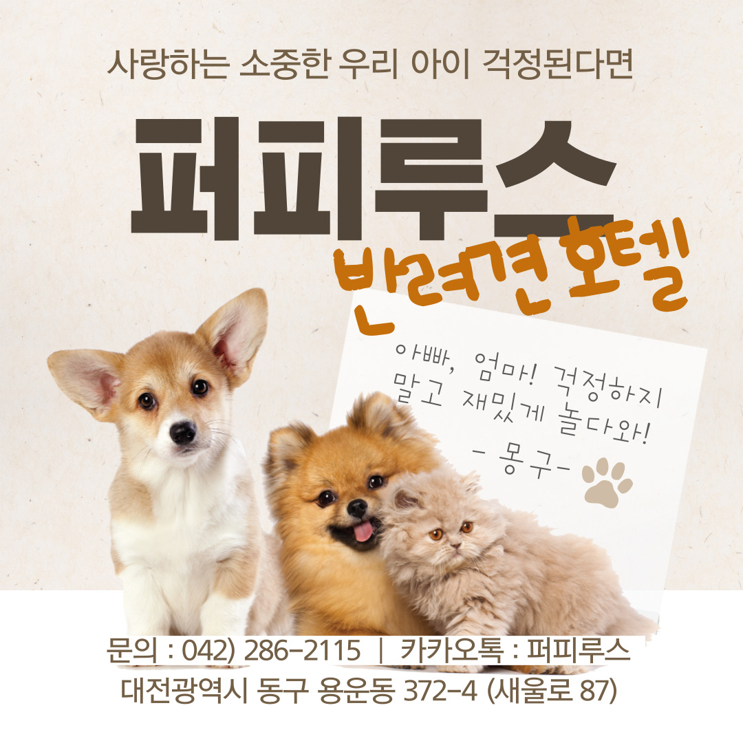 퍼피루스 대표 이미지