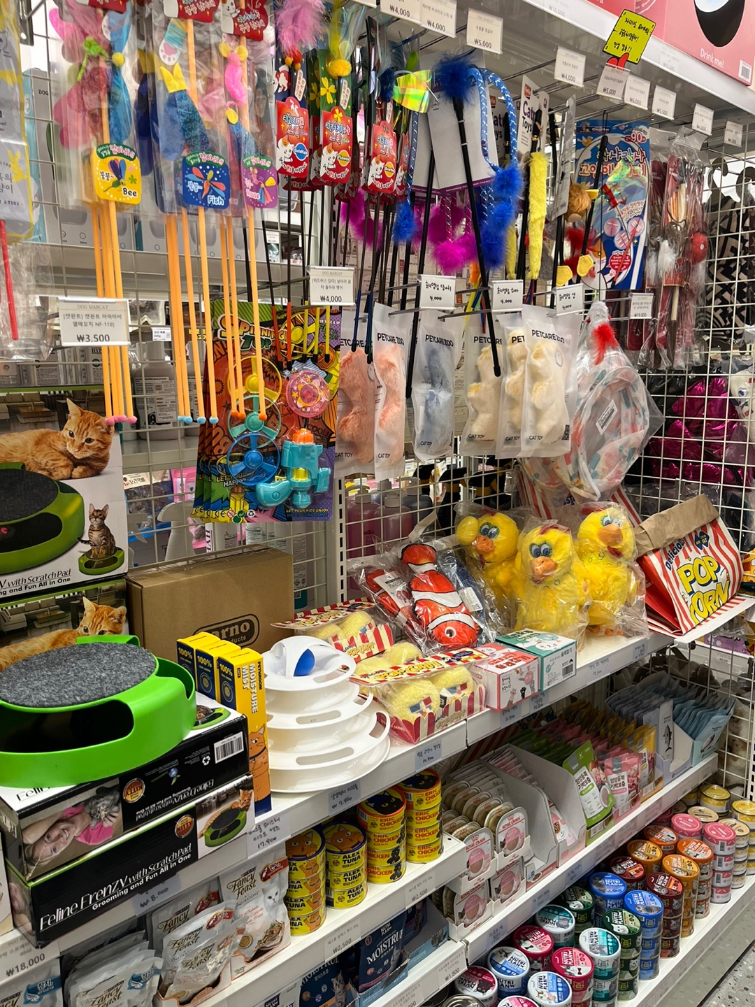 도그마캣 신불당점 대표 이미지