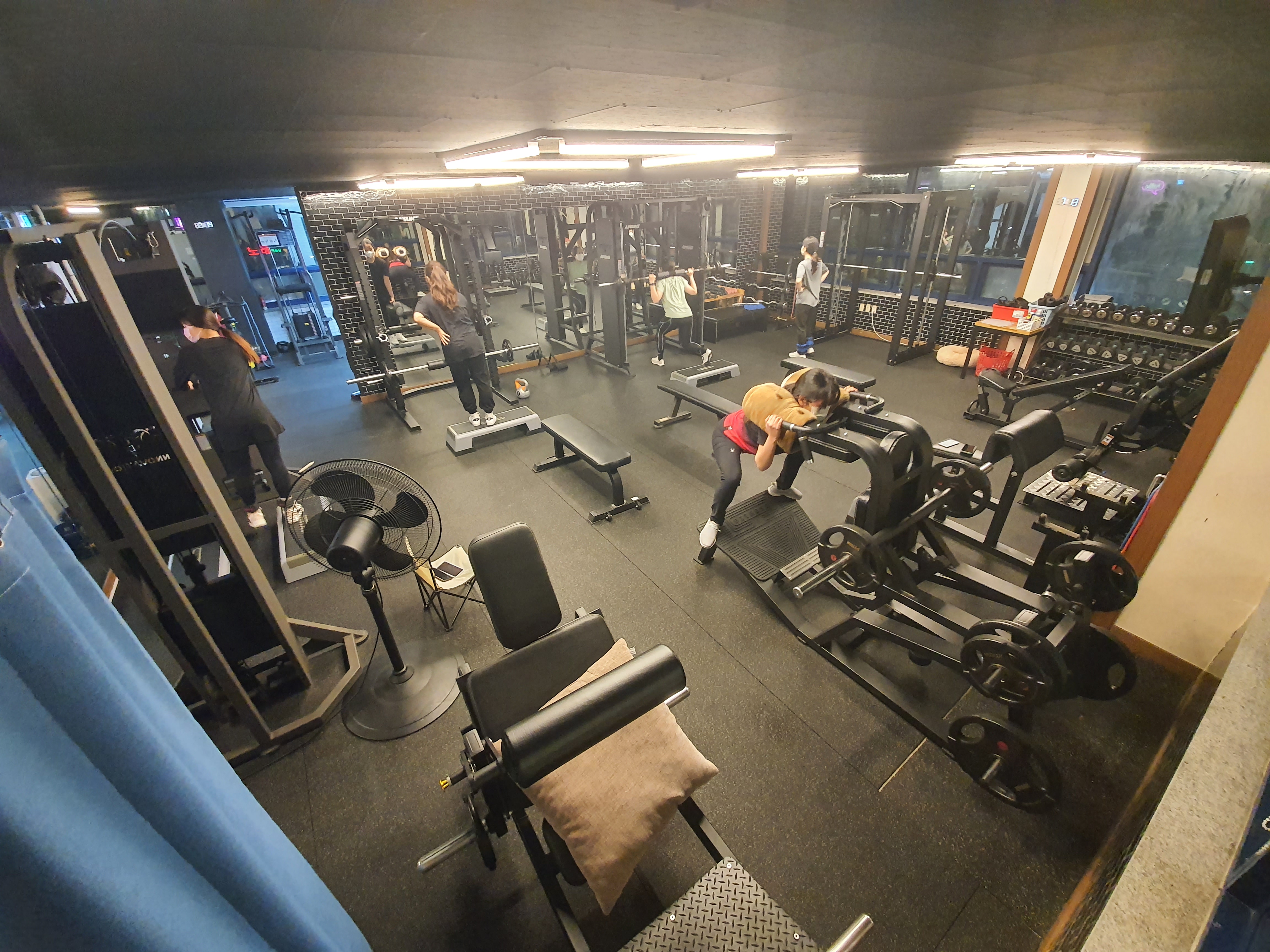 웰니스트레이닝스튜디오 대표 이미지