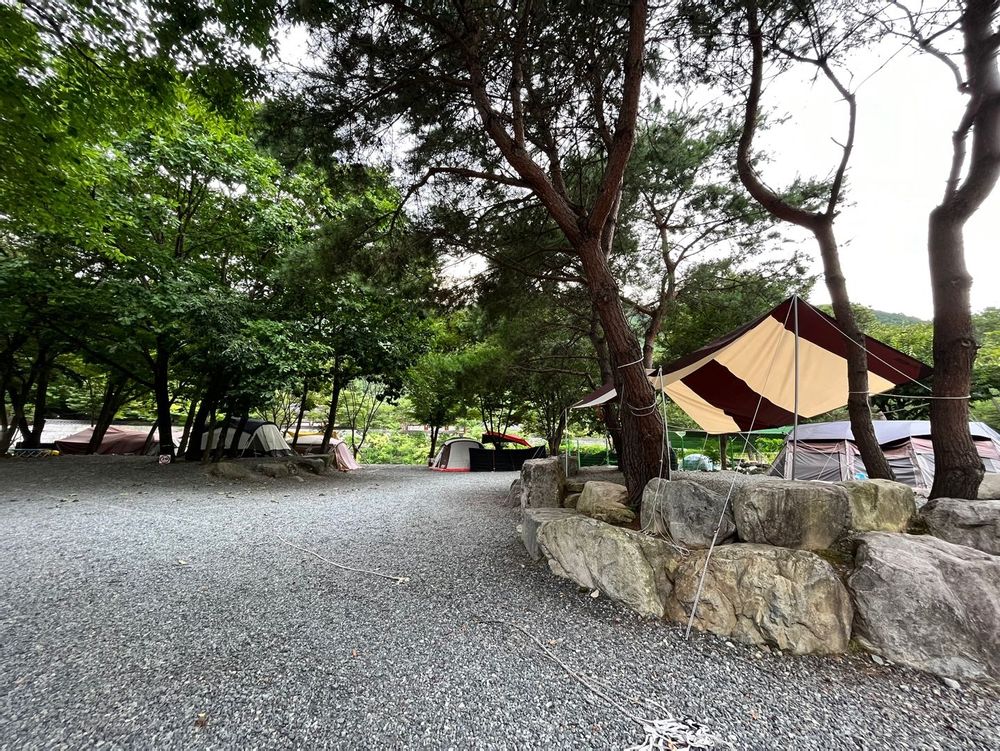 캠핑장 사진