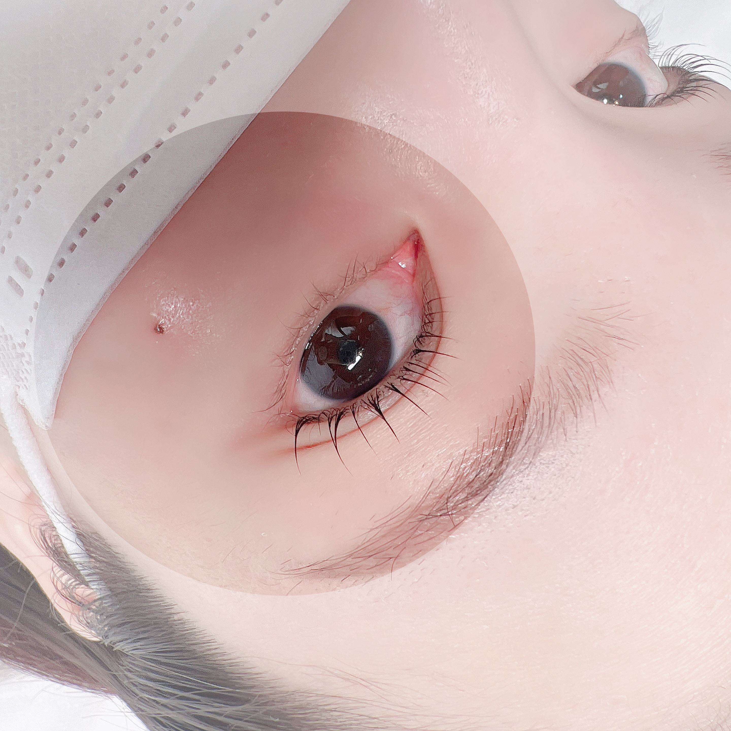 온뷰티샵 눈썹/속눈썹