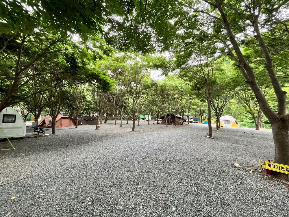 캠핑장 사진