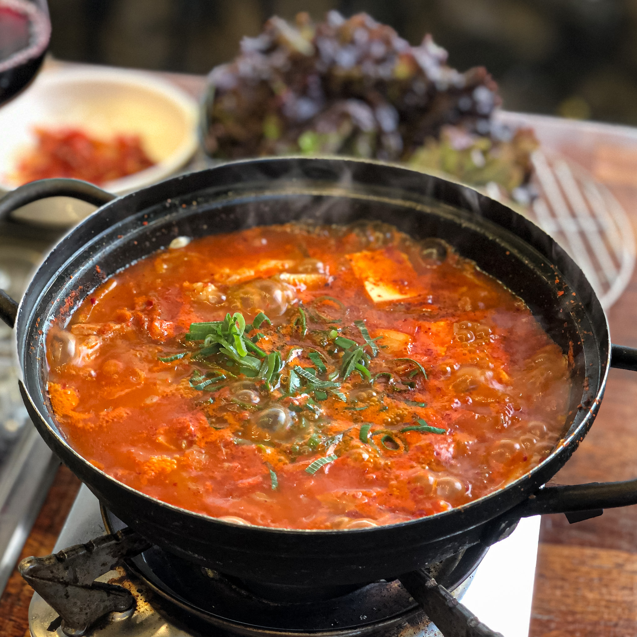 돌담길괴기집 반려동물 동반 애견카페