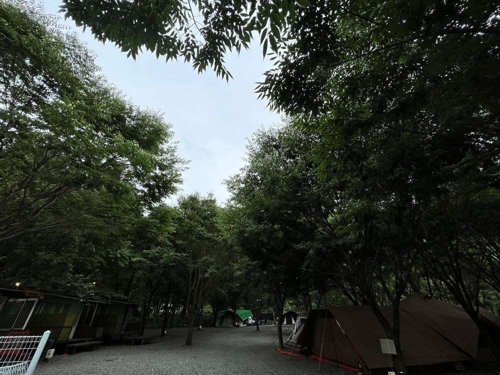 캠핑장 사진
