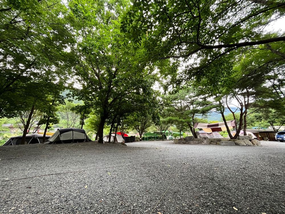캠핑장 사진