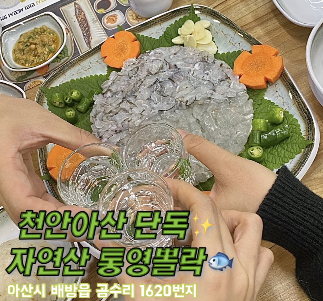 금회세꼬시