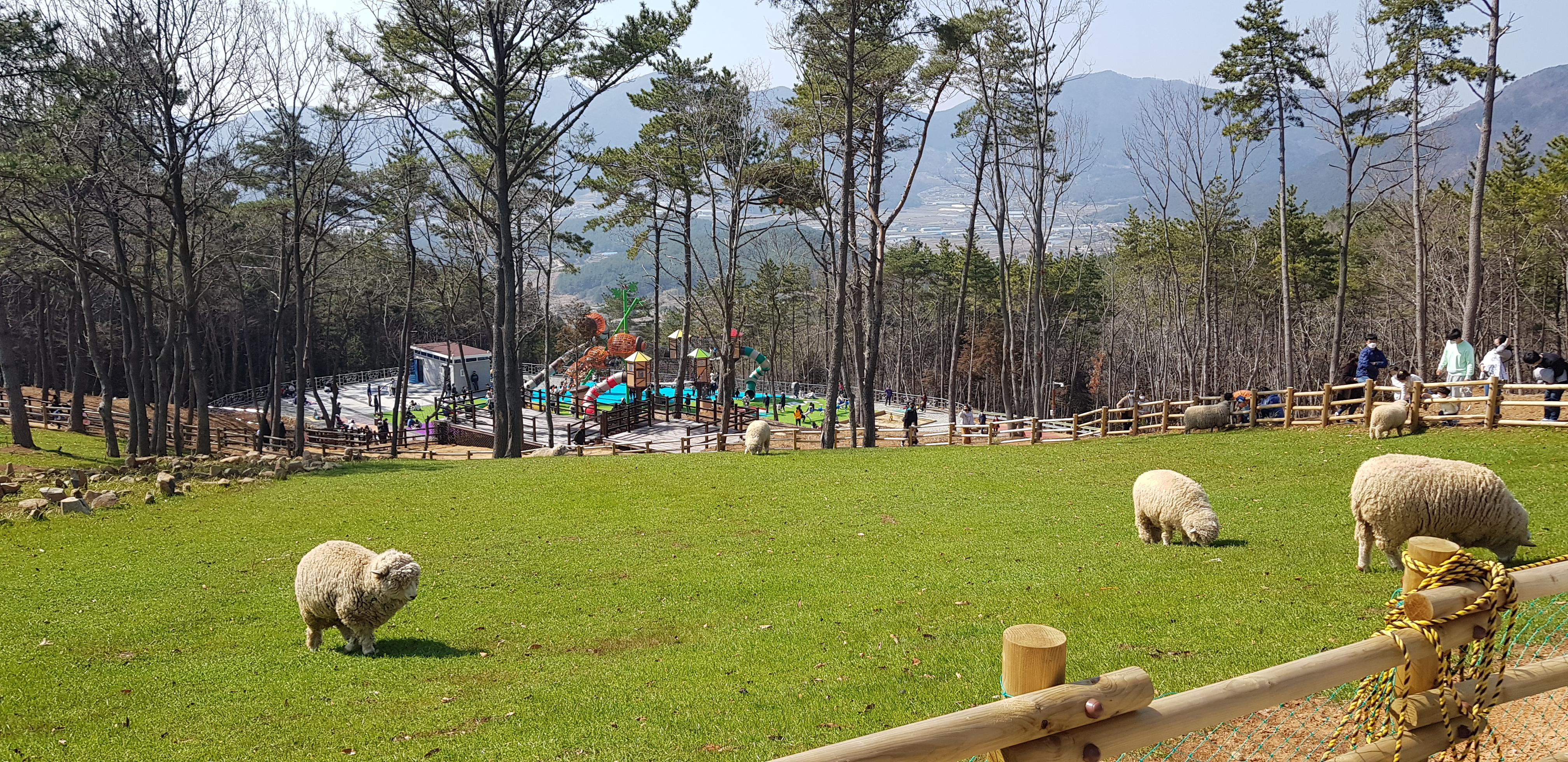 스톤코브펜션