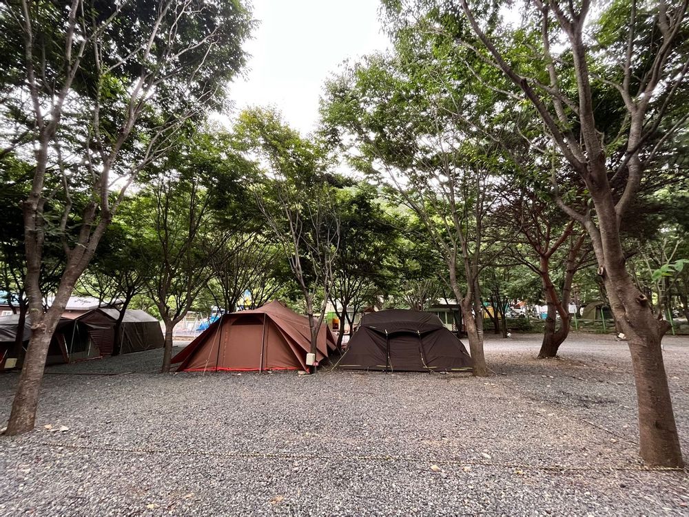 캠핑장 사진