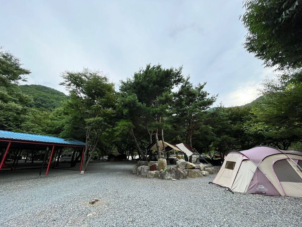 캠핑장 사진