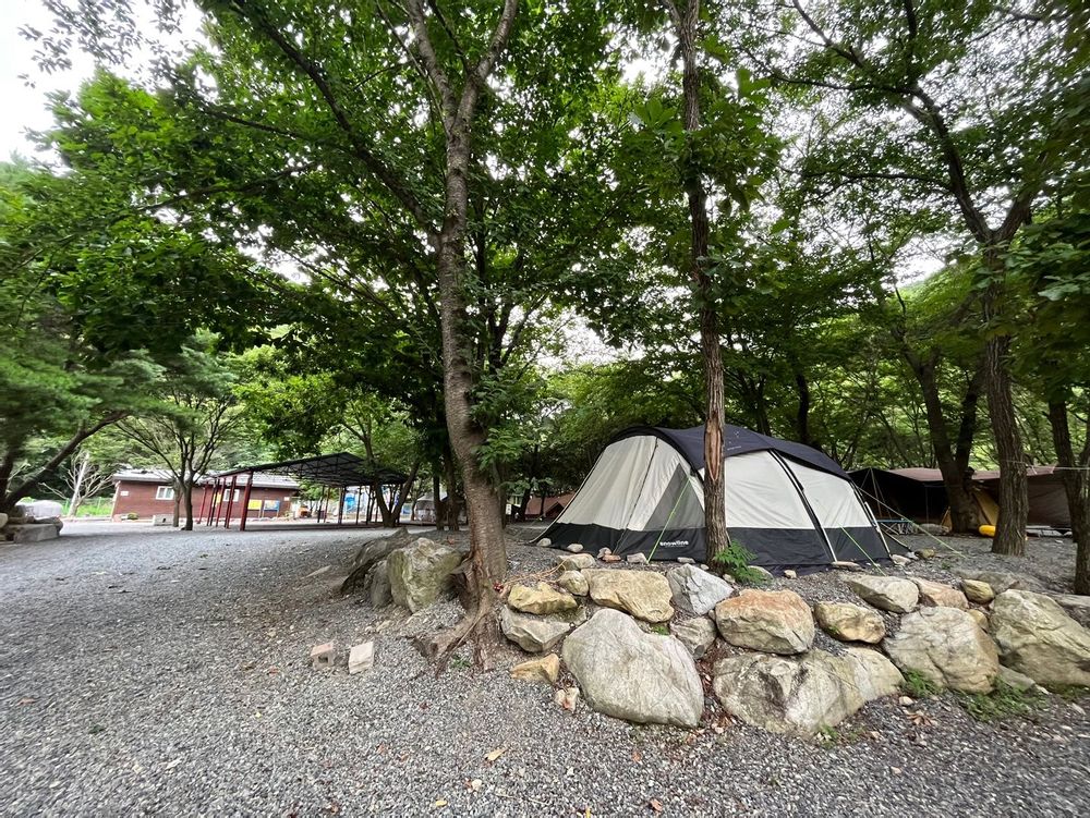 캠핑장 사진