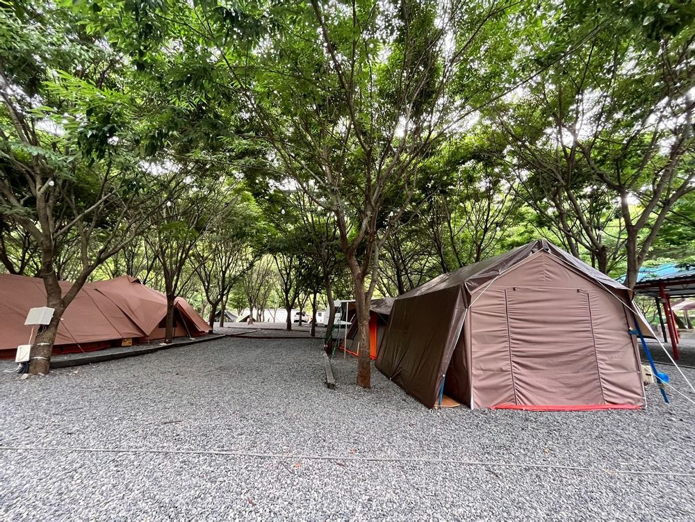 캠핑장 사진