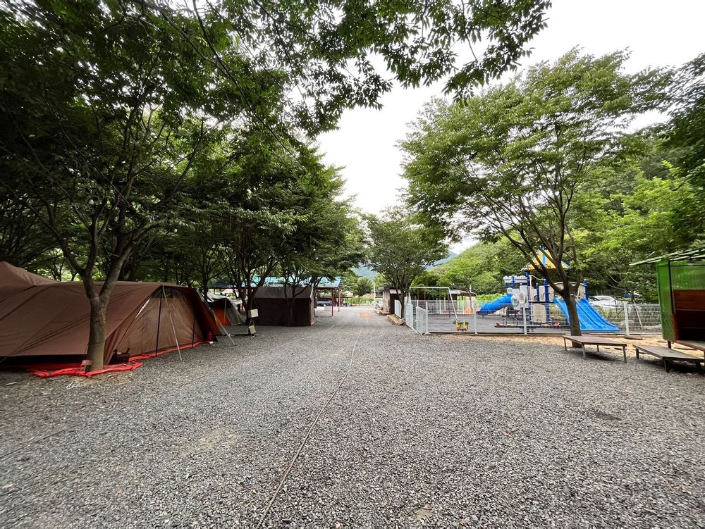 캠핑장 사진