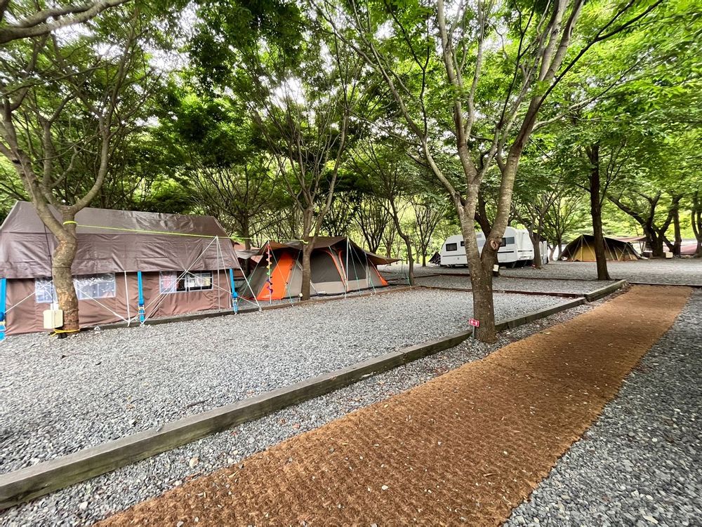 캠핑장 사진