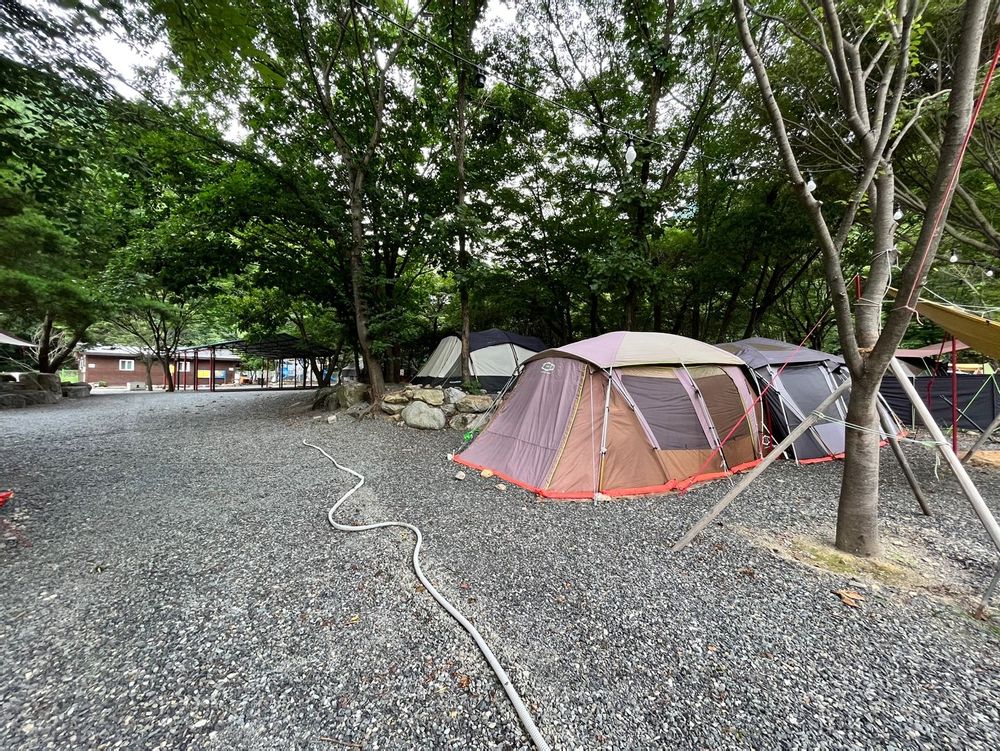 캠핑장 사진