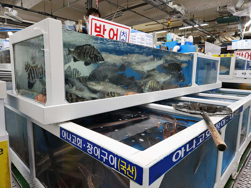 기장회센타