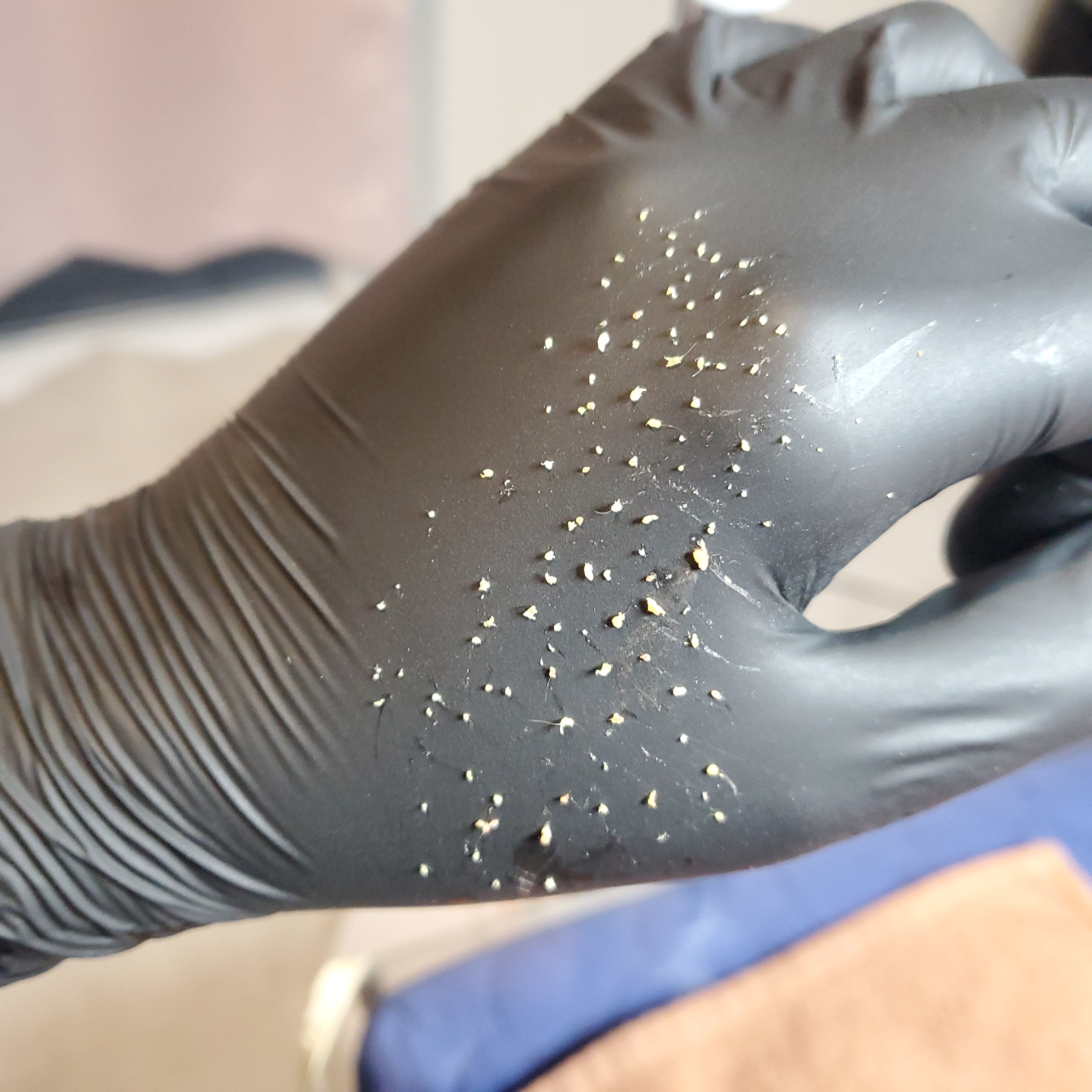 아베크현 강릉점 대표 이미지