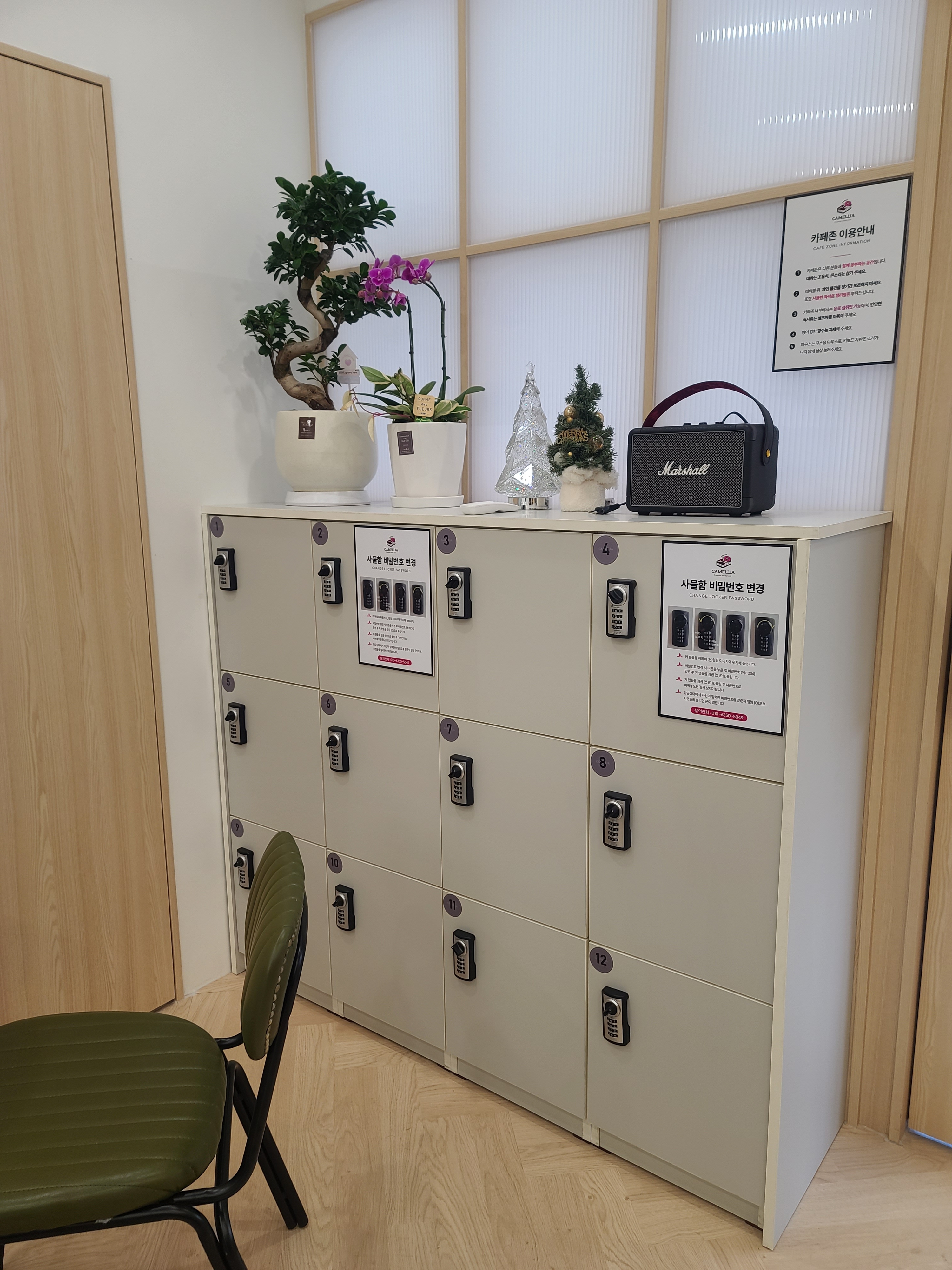 카멜리아스터디카페 원주무실점 대표이미지