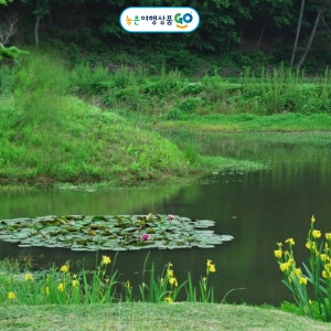 매화둠벙마을영농조합법인