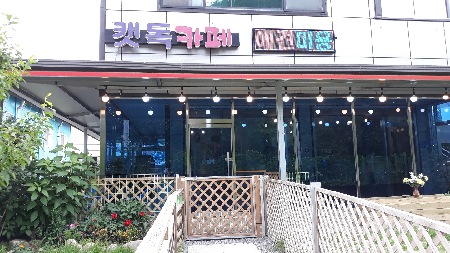 캣독 대표 이미지