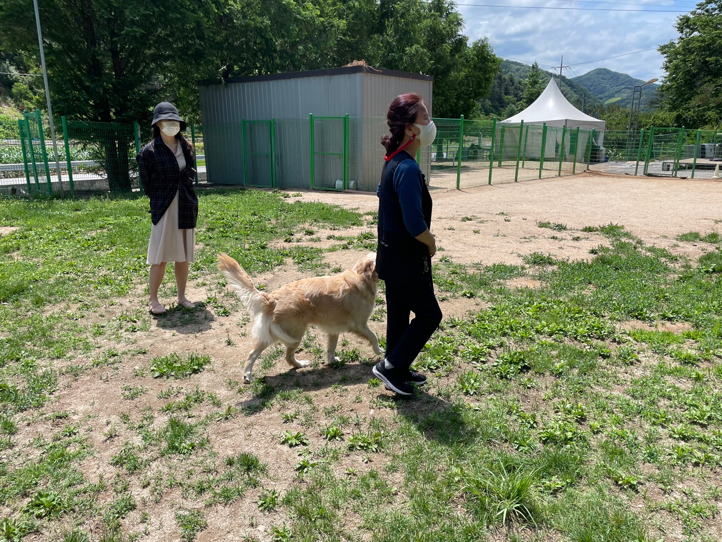 준독 트레이닝센터 대표 이미지