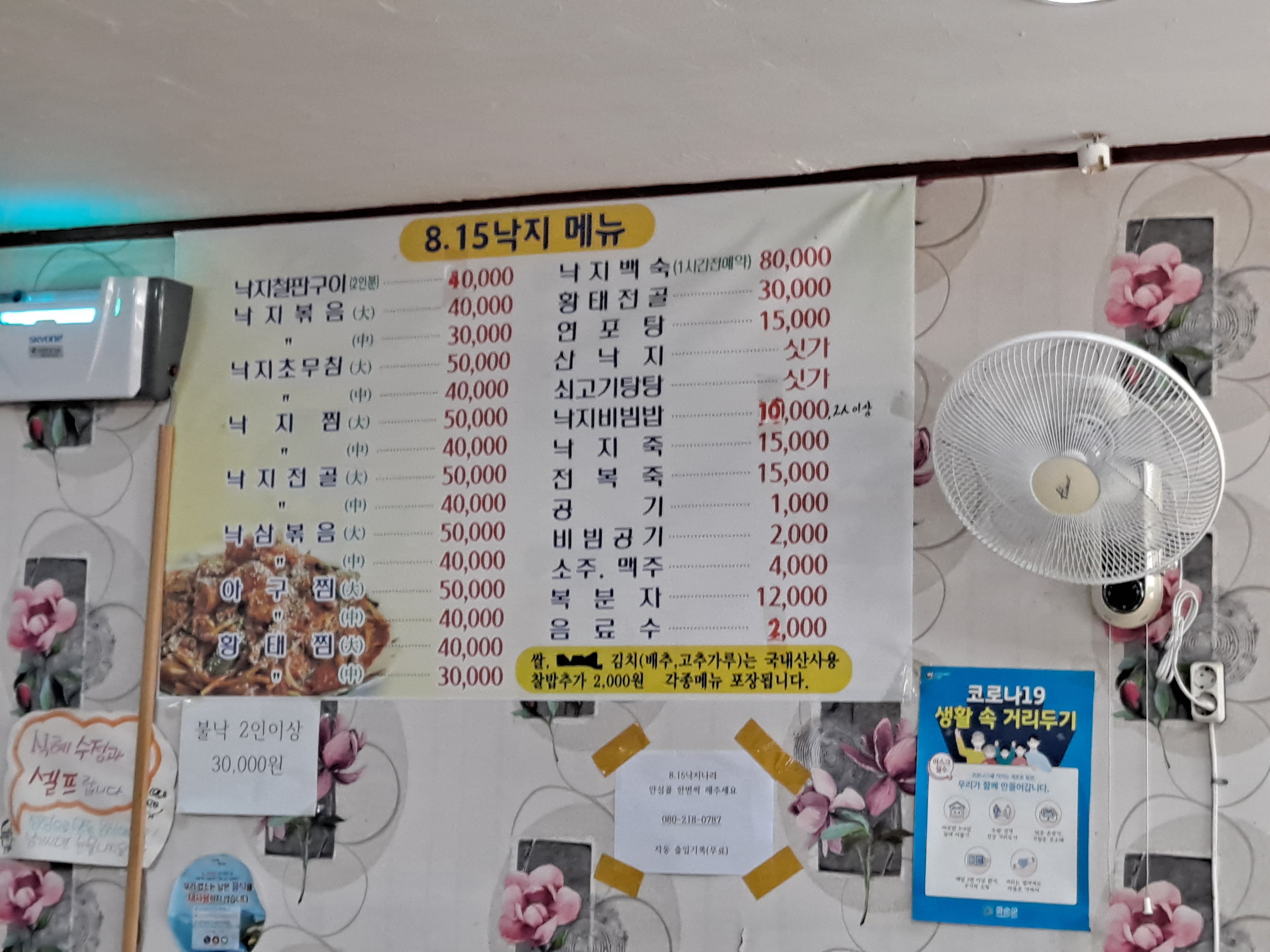 8.15낙지나라