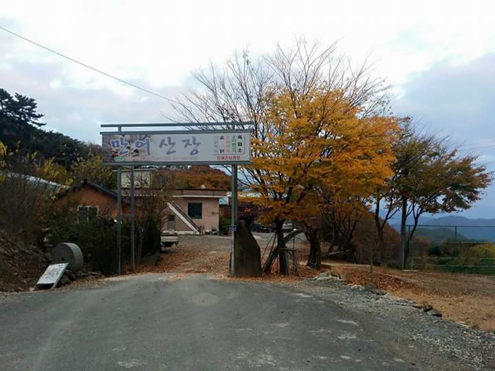 만어산장
