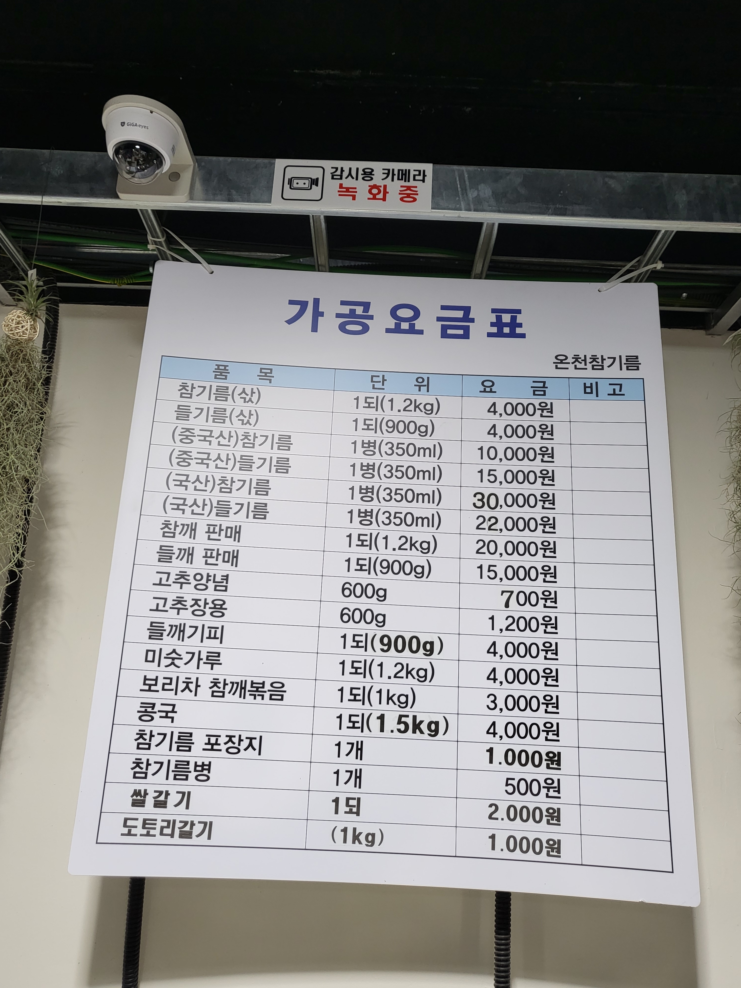 온천참기름